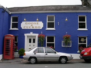 Goose and Cuckoo