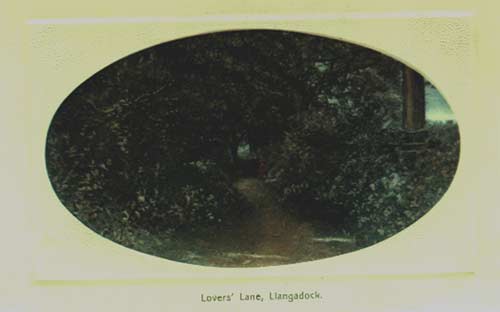 Lovers' Lane postcard